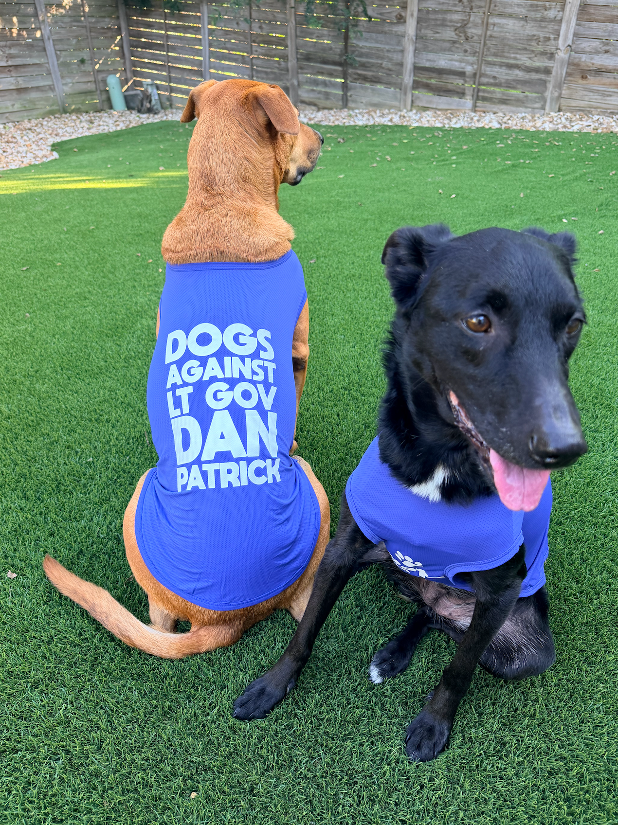 Dogs Against LGDP Dog Shirt