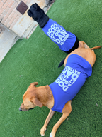Dogs Against LGDP Dog Shirt