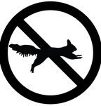 Dogs Against Squirrels Dog Shirt