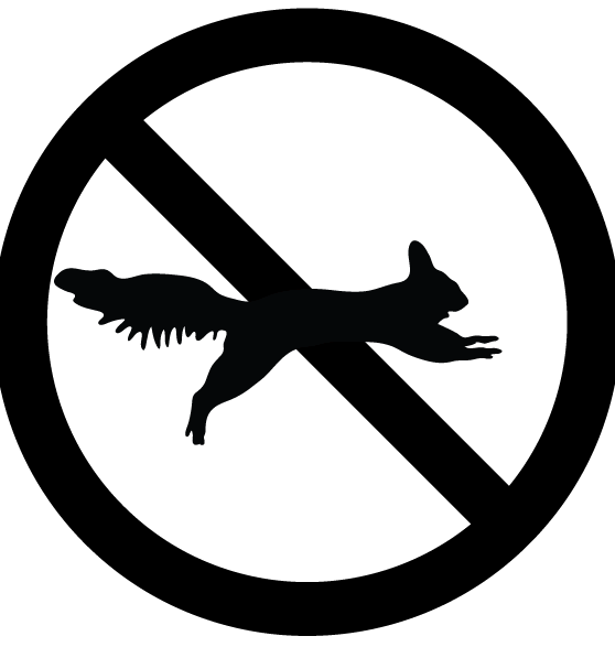 Dogs Against Squirrels Dog Shirt